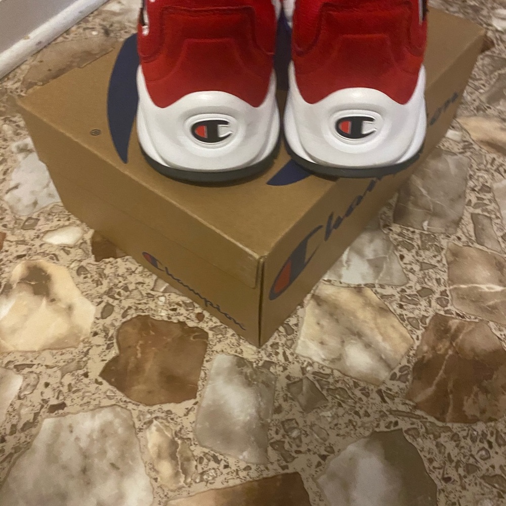 Champion Rally Pro - Picture 4 of 5